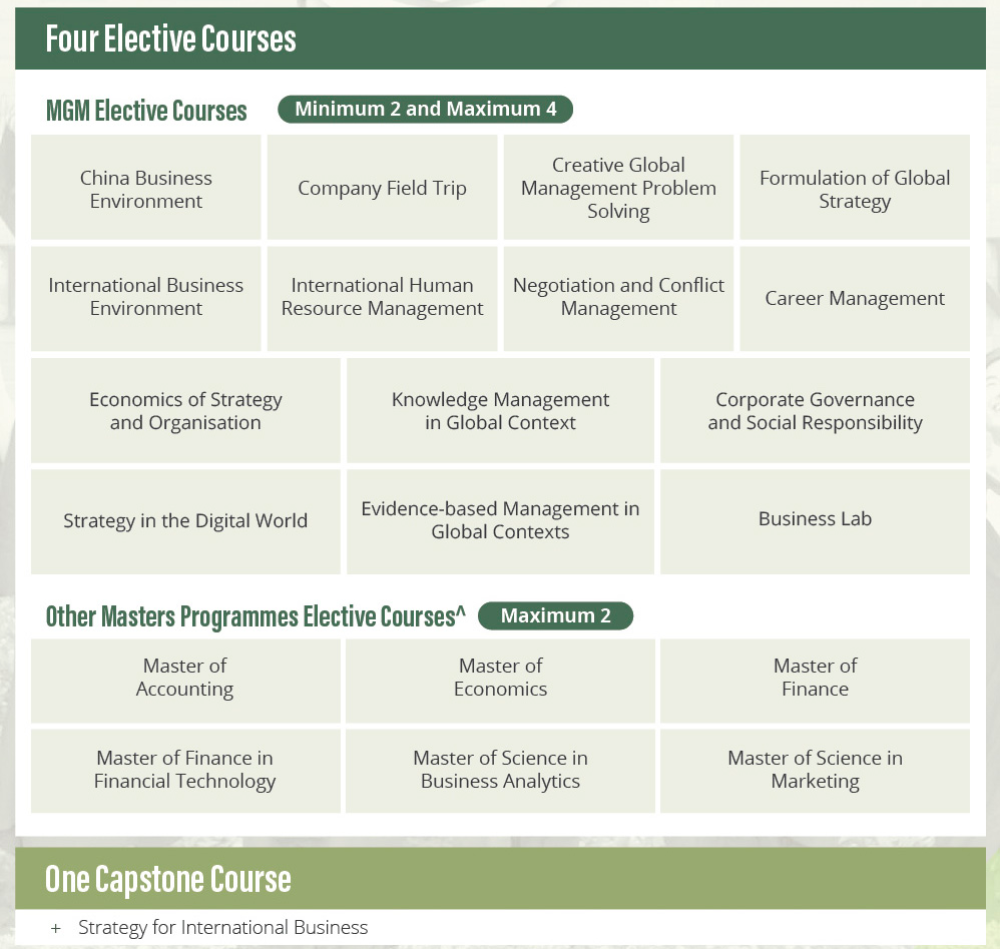 斑马博士、斑马博士留学中心、香港大学、 The HongKong 、HKU、 Master of Global Management 、全球管理硕士